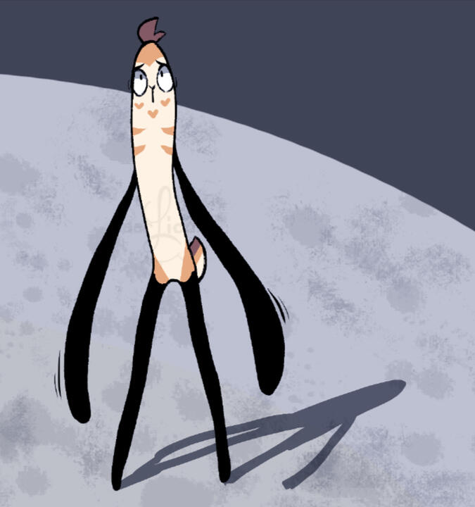 paissa with every disease