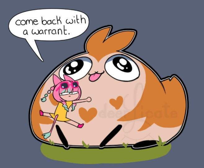 come back with a warrant